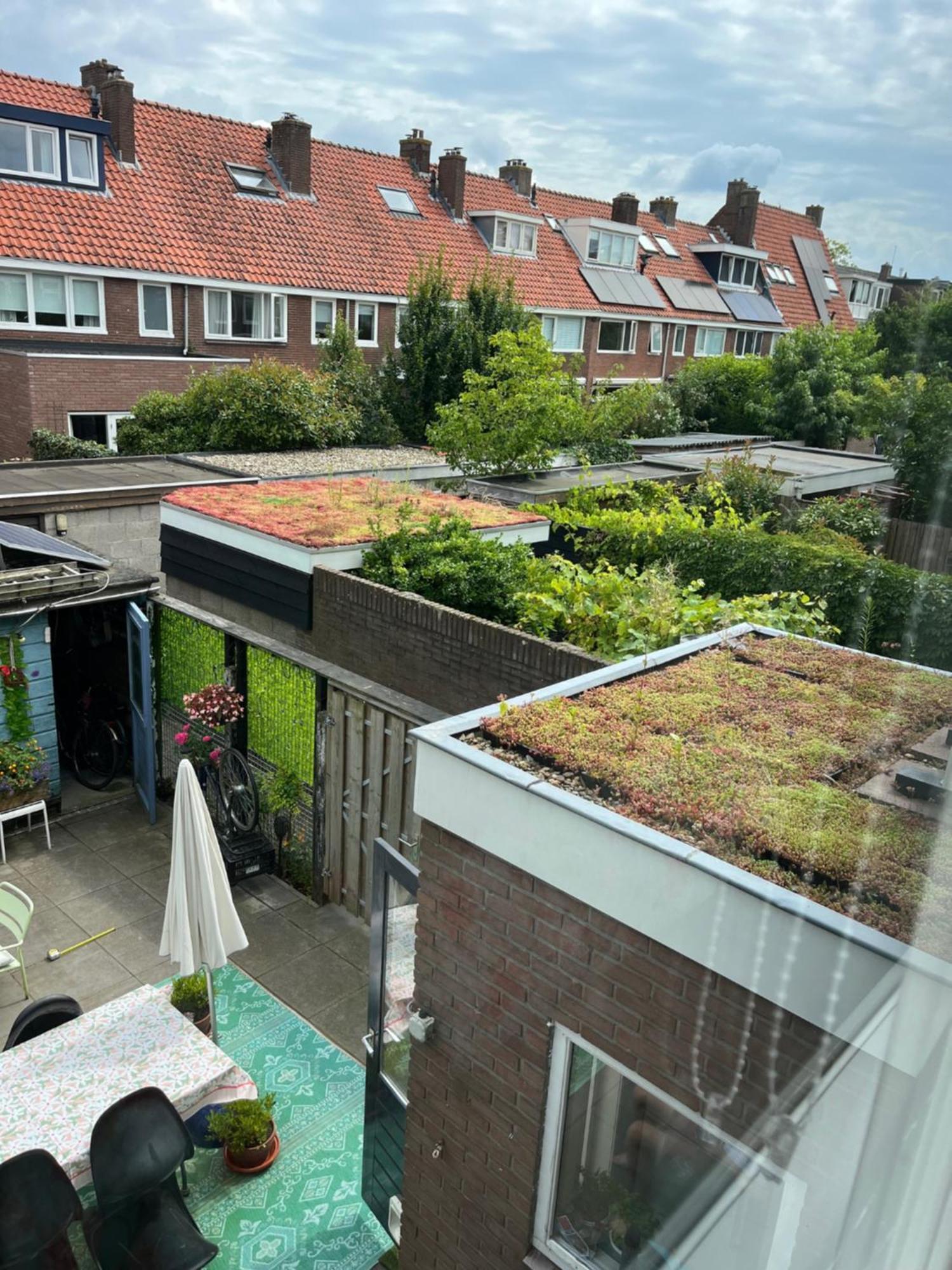 Bebabops Homestay Utrecht Extérieur photo